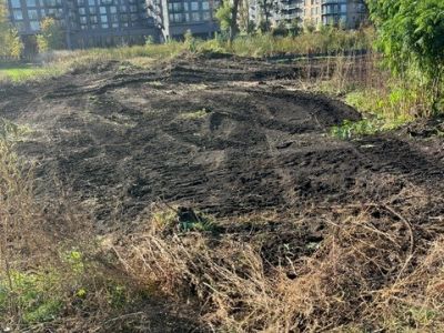 soil scraping to expose dark brown peat soils under surface